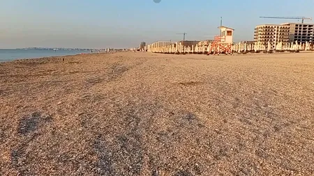 Imagini deziluzionante! Cum a ajuns să arate plaja din Mamaia acum, în iulie 2024