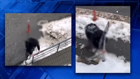 Adolescent din Cluj aflat sub influența substanțelor interzise, filmat pe stradă în timp ce trage haotic de stâlpi și indicatoare rutiere