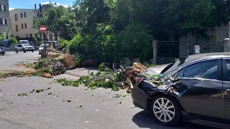 Zeci de copaci rupți de vânt în București, căzuți pe mașini / FOTO
