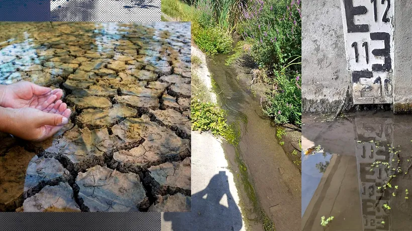 Imagini incredibile în județul Dolj: Un pârâu a SECAT în totalitate. Ce spun reprezentanții Direcției Apelor Jiu Craiova