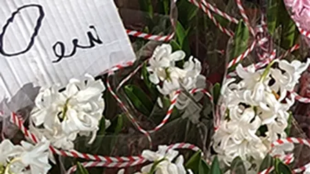 Cu câți lei a ajuns să se vândă o zambilă astăzi, 1 martie, în București