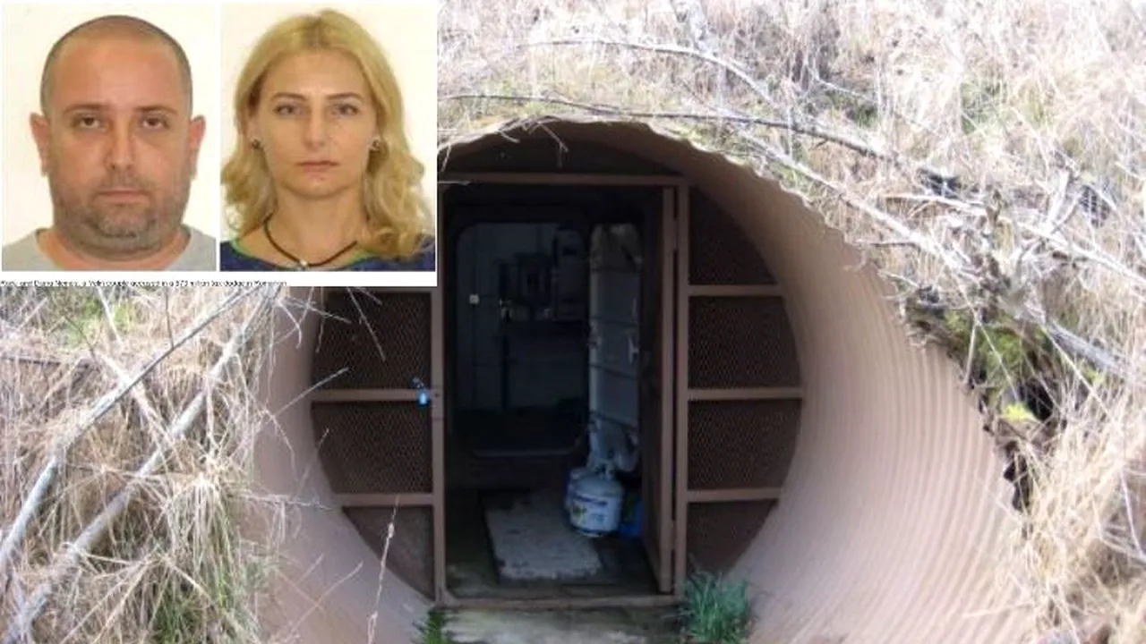 Comoara din buncărul soților Nemeș. Statul american scoate totul la licitație