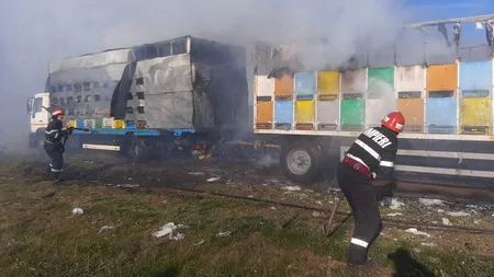 INCENDIU. Un camion cu aproape 160 de stupi s-a făcut scrum, în Tulcea