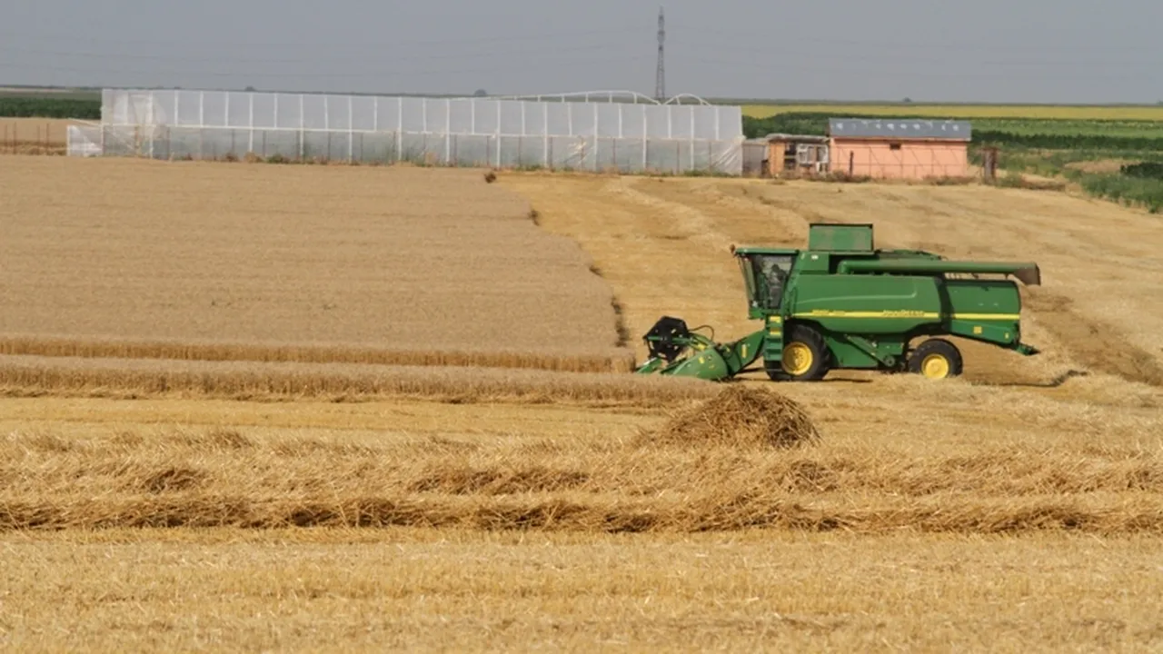Impozitul plătit de agricultorii persoane fizice ar putea scădea. Statul vrea să taxeze veniturile din creșterea animalelor 