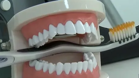 Fabrica de dinți de la Miroslava, în rețeaua unui lider european din industria dentară. Tranzacție medicală importantă