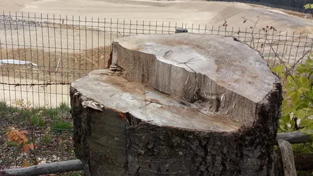 În Italia, nimeni nu-și poate imagina că gunoiul menajer se poate depozita în vârful muntelui. ȘOCUL turistului străin când vede „MINUNEA