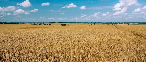 2022, un an cu agricultura măcinată de schimbări climatice