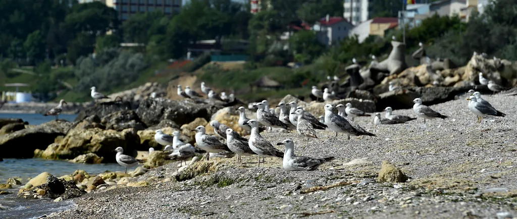 CORONAVIRUSUL versus turismul românesc