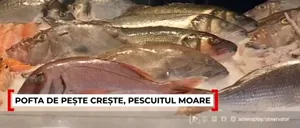 Pofta de pește crește, dar PESCUITUL moare. România importă pește și fructe de mare din șase țări