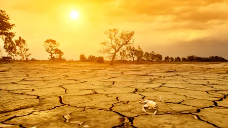 Perioada 2023-2027 va fi cea mai CALDĂ înregistrată vreodată, atrag atenția specialiștii