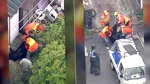 Alertă în Japonia: Un urs a închis 94 de școli. Animalul a fost prins după ce a terorizat un oraș întreg
