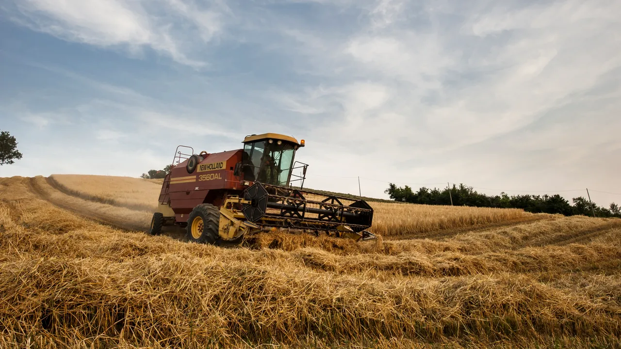 LOVITURĂ grea pentru piața muncii. Deficitul de forță de muncă aproape se va dubla în următorii cinci ani