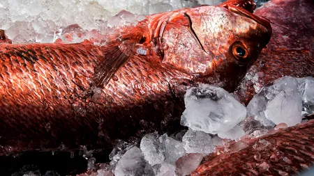 Protecția Consumatorilor a descoperit nereguli la 60% dintre operatorii care comercializează pește verificați - VIDEO