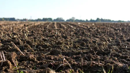 Cât COSTĂ un hectar de teren arabil în România. Prețul diferă de la o regiune la alta