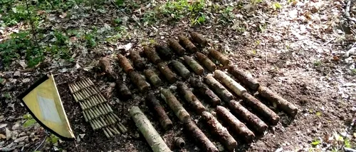Zeci de proiectile explozive și cartușe, descoperite într-o pădure din județul Neamț