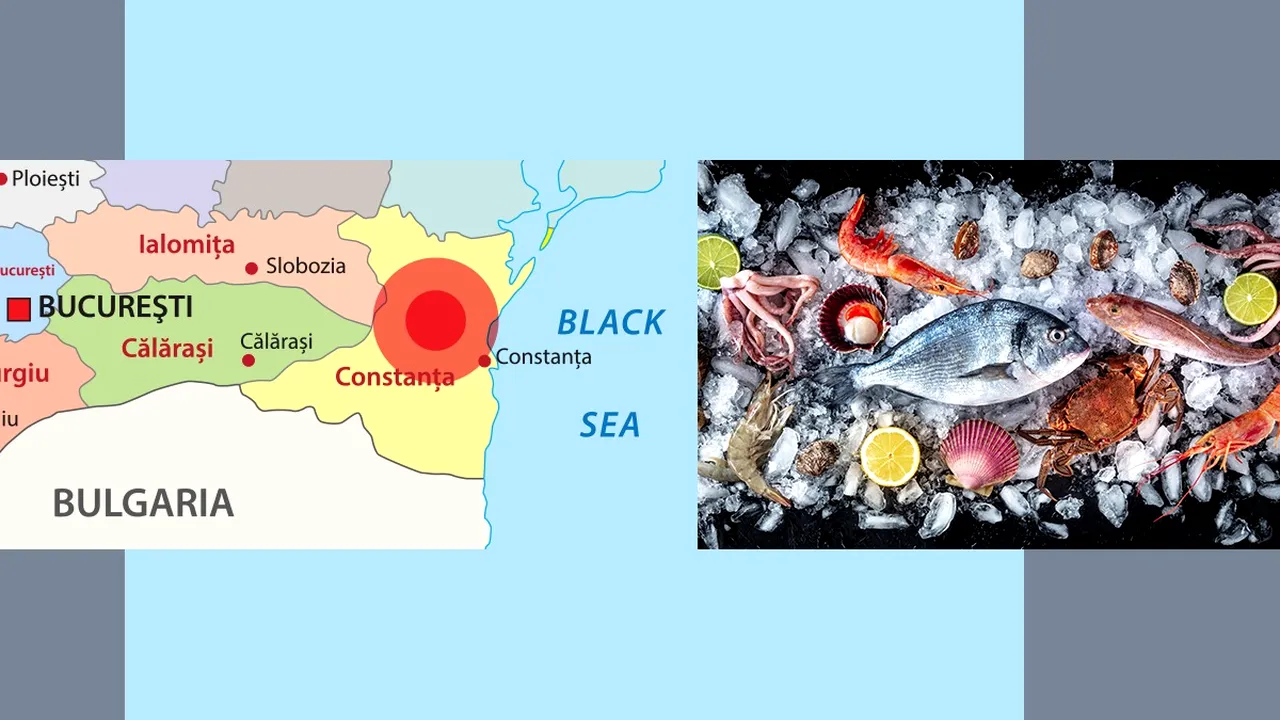 Apele ROMÂNE aduc Marea Neagră în farfurie/ 