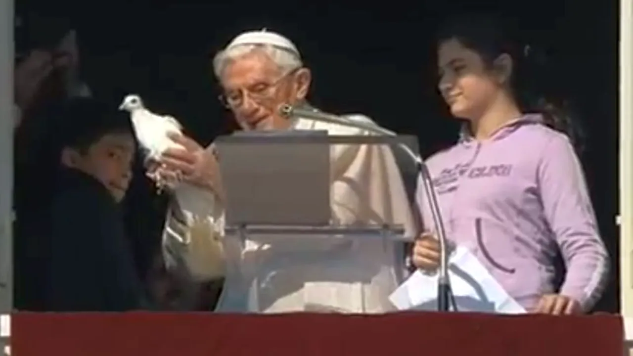 Porumbelul păcii, eliberat de Papa Benedict XVI, atacat de un pescăruș
