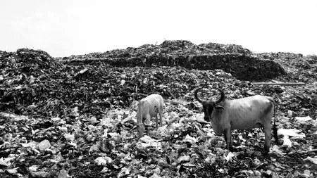 IMPLEMENTARE DECIZIE. Comisia Europeană a decis să notifice România și cere închiderea gropilor de gunoi ilegale, după decizia CJUE