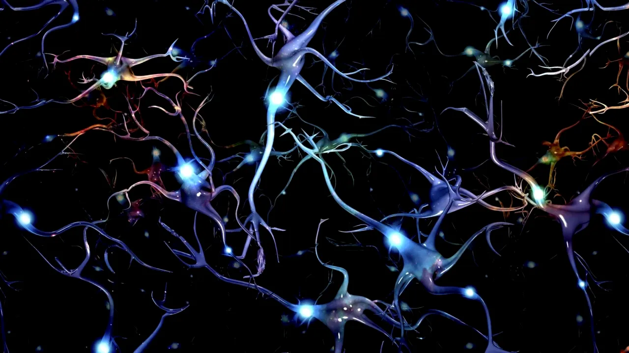 Financial Times: O echipă de cercetători condusă de un savant de origine română a recreat pentru prima dată un circuit CEREBRAL