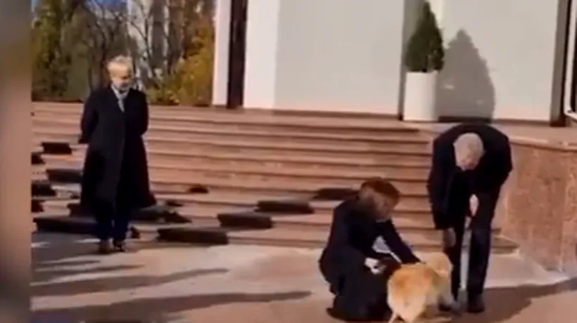 VIDEO. „Codruț”, câinele Maiei Sandu, l-a muşcat pe preşedintele Austriei. Momentul a fost înregistrat