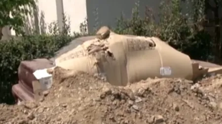 Dorel lovește la Tulcea. Mai mulți muncitori 