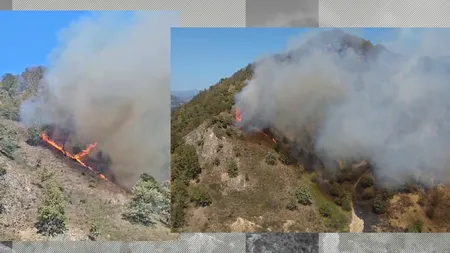 Incendiu de vegetație în localitatea RACOVIȚA din județul Vâlcea. Focul amenință și casele oamenilor