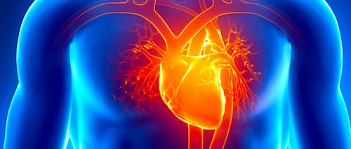 Cea mai frecventă malformație cardiacă pe care mulți oameni nu știu că o au