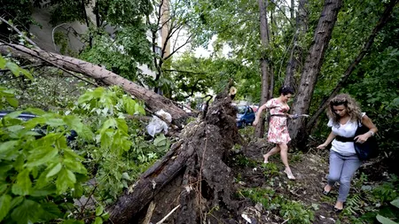 Un bărbat și un copil au fost răniți în Parcul Carol din București