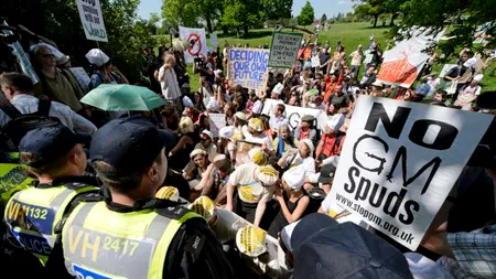 UE face primul pas pentru aprobarea animalelor modificate genetic. Care sunt principalele riscuri