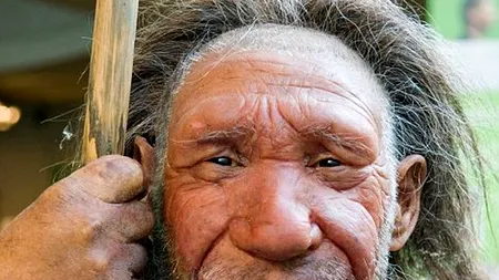 Virusuri ale omului de Neanderthal, regăsite în ADN-ul uman modern
