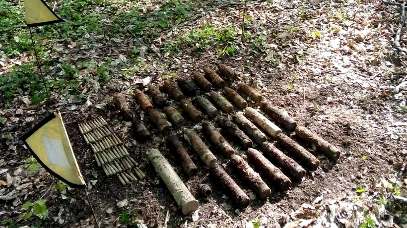 Zeci de proiectile explozive și cartușe, descoperite într-o pădure din județul Neamț