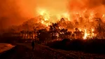 Stare de urgență pe una dintre insulele grecești preferate de mii de români. INCENDIILE au scăpat de sub control