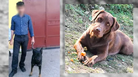 Hunedoreanul acuzat că ar fi violat o cățelușă a ajuns în fața instanței. Zeci de iubitori de animale s-au strâns la judecătorie /„I-a picat fața”