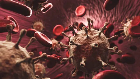 „Codul Morse biologic”, descifrat de savanți. Cum ar putea revoluționa medicina