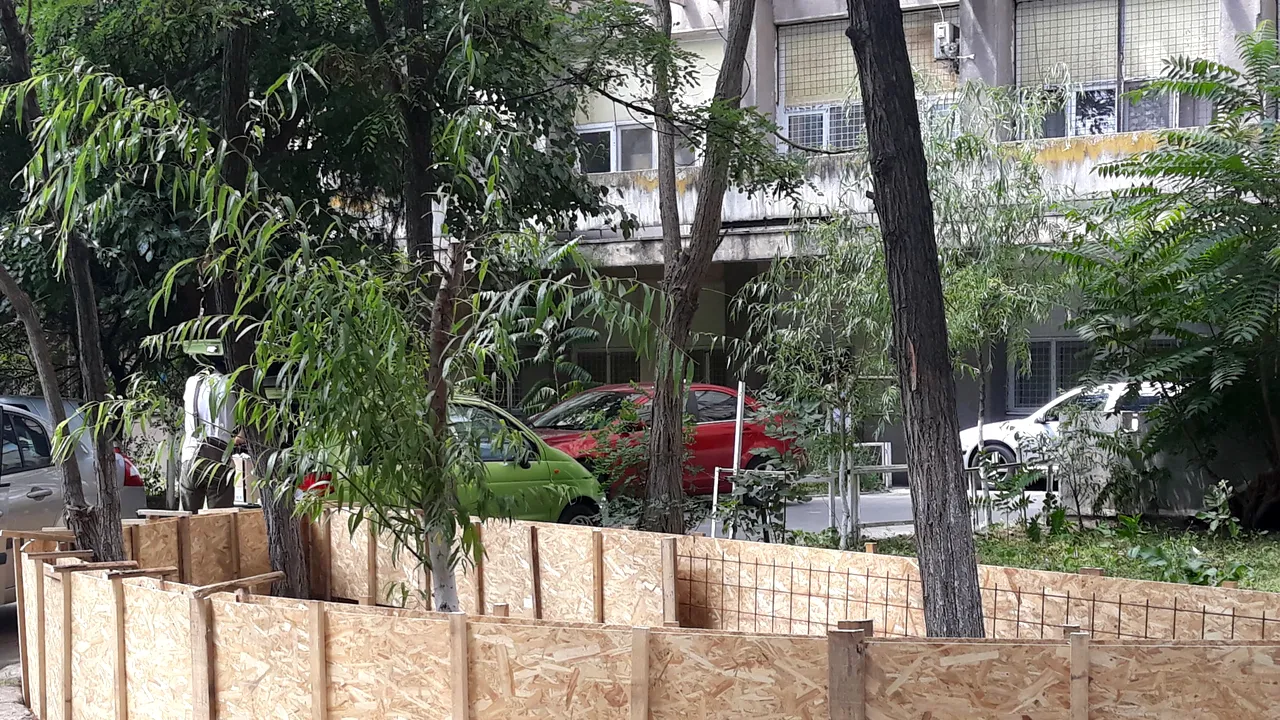 Șeful Spitalului Craiova a început amenajarea unui BAZIN CU PEȘTI în curtea unității, dar fără autorizație. Consiliul Județean l-a OPRIT