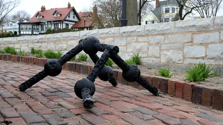 Culmea progresului. Roboți construiți cu ajutorul inteligenței artificiale. Forma ciudată îi ajută să se adapteze la orice teren