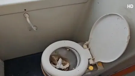 ȘOCUL pe care l-a avut un pasager când a folosit toaleta din trenul Constanța - București. A plătit 160 de lei pe bilete