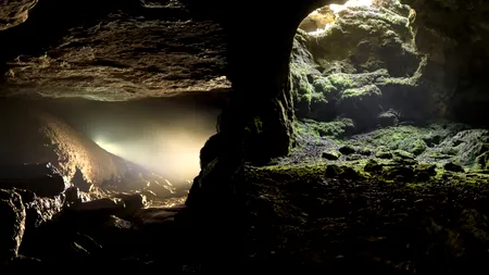 Misterioasa peșteră din România care i-a fascinat pe cercetători. A fost descoperită pe timpul lui Nicolae Ceaușescu și are un ecosistem unic