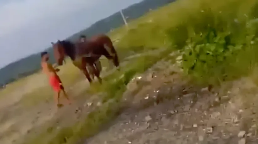 #cugandullaanimale. Imagini greu de privit, surprinse în Baia Mare: Doi tineri lovesc fără milă un cal - VIDEO