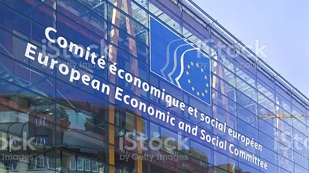 Premierul interimar i-a numit pe reprezentanţii societăţii civile în cadrul Consiliului Economic şi Social (CES)