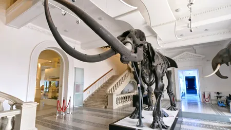 Programul de Paște al principalelor muzee din București