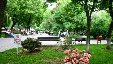 PROGNOZA METEO ANM. Cum va fi vremea în weekend