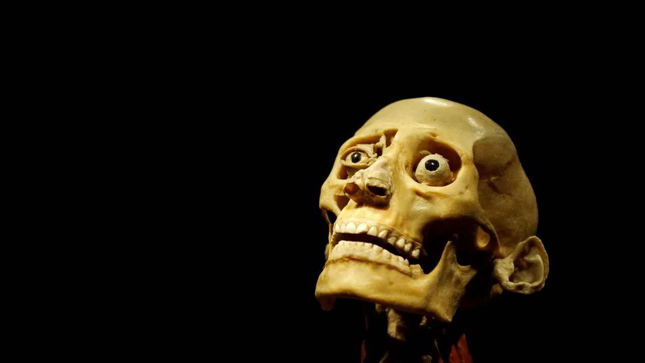 Record de vizitatori la expoziția