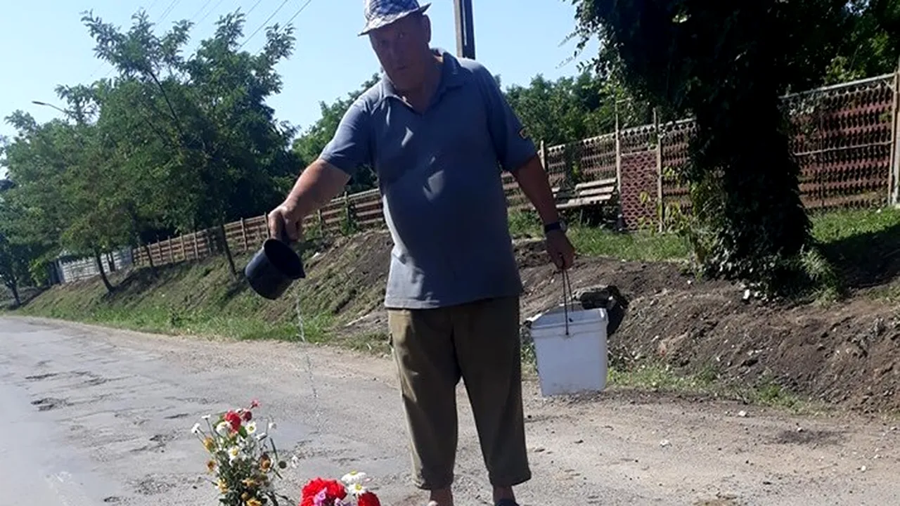 Au plantat flori în gropile din asfalt, sătui de drumurile proaste: Inventiv, în curând majoritatea străzilor vor prinde culoare - FOTO