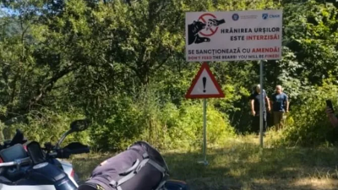 Motociclist ucis de urs, la Vidraru. Cadavrul a fost evacuat cu ursoaica pe urme/Șef Salvamont: „L-a tras în râpă, 60 m. Motocicleta se pare că este de Italia”