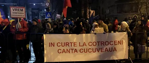 Protestatar la Cotroceni: „Eu aici, restul familiei e la Victoriei. Acasă e vai de lume