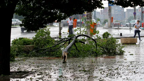 Europa, lovită de FURTUNI. Zboruri anulate, pene de curent și copaci căzuți din cauza ciclonului mediteranean