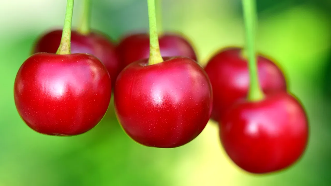 De unde provin, de fapt, CIREȘELE vândute la tarabă. Cum sunt păcăliți cumpărătorii