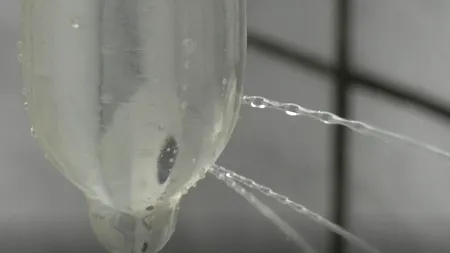 VIDEO. Surpriza din prezervativele de la Cluj. Autoritățile au dat alarma