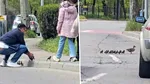Imaginile zilei. Cum a ajutat un bărbat un cârd de rațe să treacă o stradă din Constanța